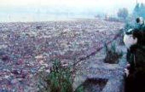 Apa Dunarii ne poate ucide