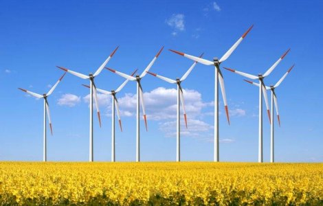 Sursele regenerabile asigura peste jumatate din productia nationala