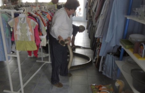  Top  Australia: Situatii INCREDIBILE pe care le poti intalni doar aici