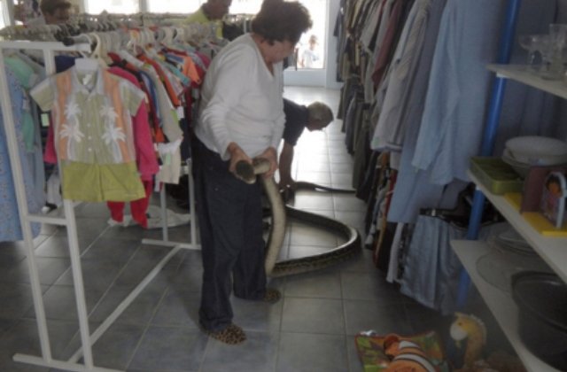 Eterna si fascinanta Australie! Situatii INCREDIBILE pe care le poti intalni doar aici