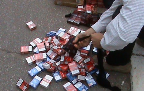 Gilda Lazar (JTI Romania): Contrabanda cu tigari aduce pierderi