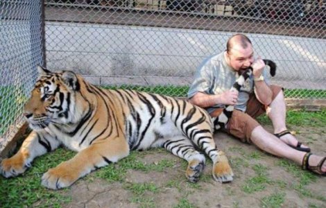  Top  10 oameni a caror inteligenta nu e punctul lor forte