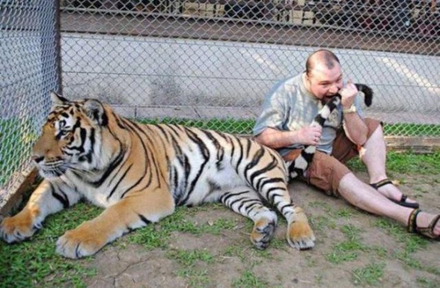 10 oameni a caror inteligenta nu e punctul lor forte