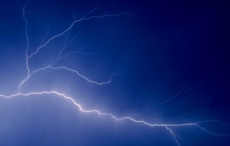 Un fulger a ucis peste 300 de reni in sudul Norvegiei