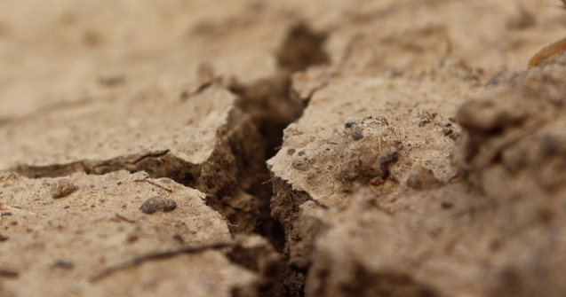 Islanda, zguduita de doua cutremure puternice. Exista temeri cu privire la o eruptie vulcanica