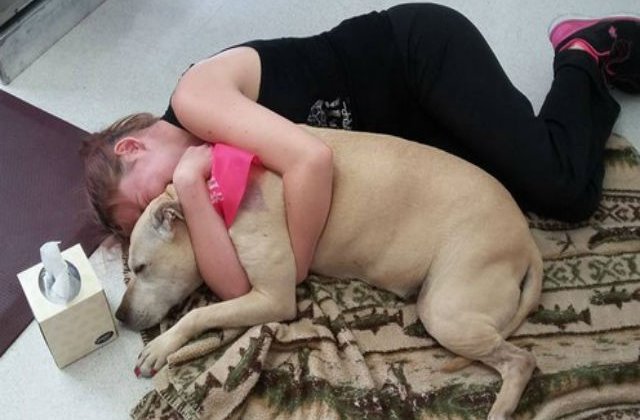 [FOTO] Poveste emotionanta: ultima zi din viata unui caine