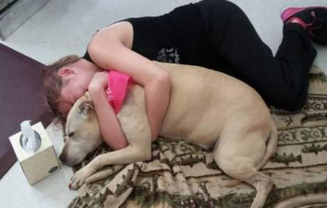  Foto  Poveste emotionanta: ultima zi din viata unui caine