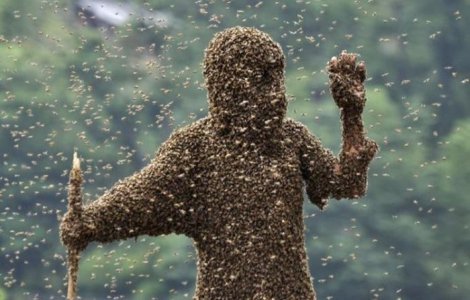  Top  Animale care sunt mult mai mortale decat crezi