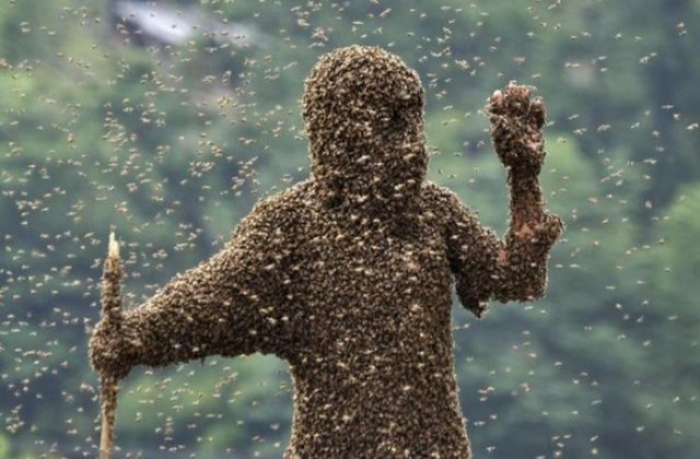 Animale care sunt mult mai mortale decat crezi
