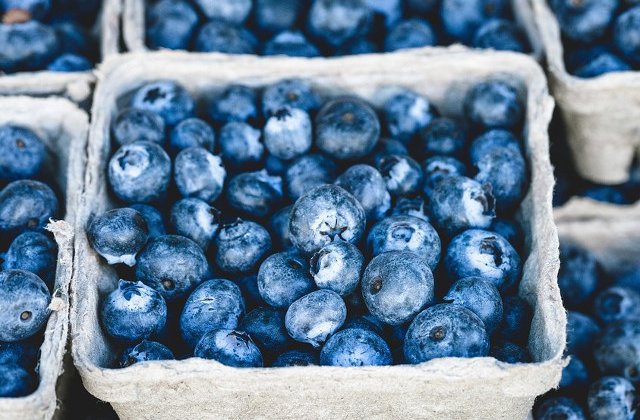 Protejeaza impotriva pierderilor de memorie! Top 5 lucruri pe care NU le stiai despre afine