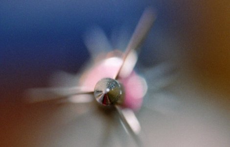 Femeie strapunsa de o sageata in timp ce se afla la o terasa