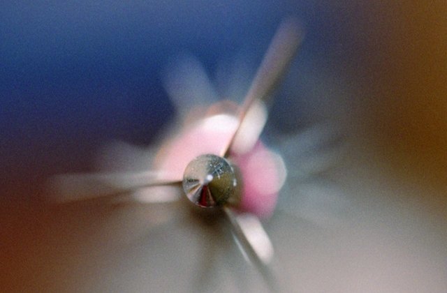 Femeie strapunsa de o sageata in timp ce se afla la o terasa. Ce spun medicii despre cazul victimei