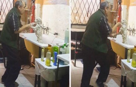 Adorabil! Acest barbat a fost surprins dansand cu cainele unui client