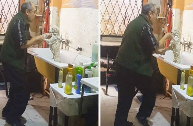 [VIDEO] Adorabil! Acest barbat a fost surprins dansand cu cainele unui client in timp ce il spala