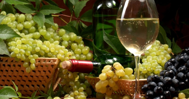 Viticultorii romani vor cursuri in scoli privind consumul de vin