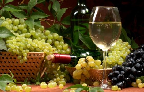 Viticultorii romani vor cursuri in scoli privind consumul de vin