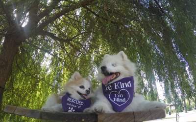 Prieteni de nedespartit. Un...