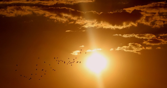METEO. Revin temperaturile de vara