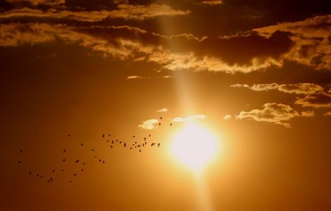 METEO. Revin temperaturile de vara