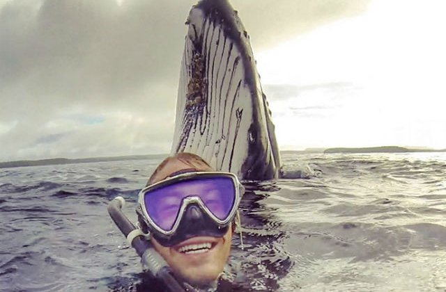 [FOTO] Voia sa isi faca un selfie, dar a surprins un moment unic