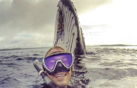 Voia sa isi faca un selfie, dar a surprins un moment unic