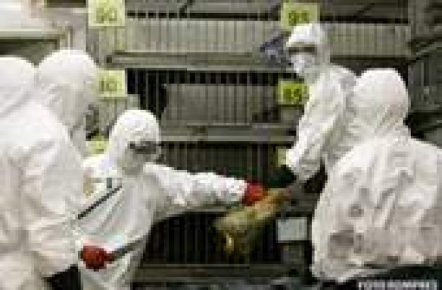 10 pandemii care ameninta Terra