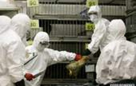 10 pandemii care ameninta Terra