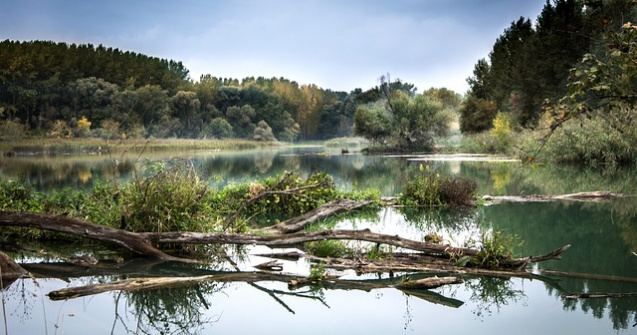 Autoritatile bulgare au gasit cadavrele a doi migranti inecati in Dunare in timp ce incercau sa treaca in Romania