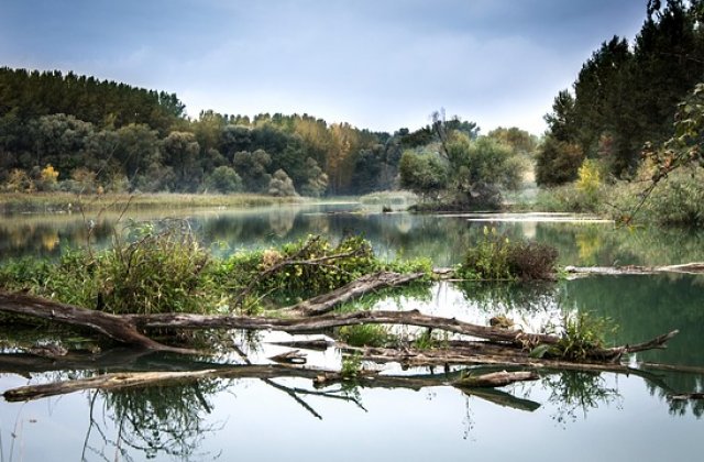 Autoritatile bulgare au gasit cadavrele a doi migranti inecati in Dunare in timp ce incercau sa treaca in Romania