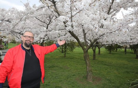 ANI cere Parchetului ICCJ sa il cerceteze pe fostul primar Cristian Popescu Piedone pentru conflict de interese