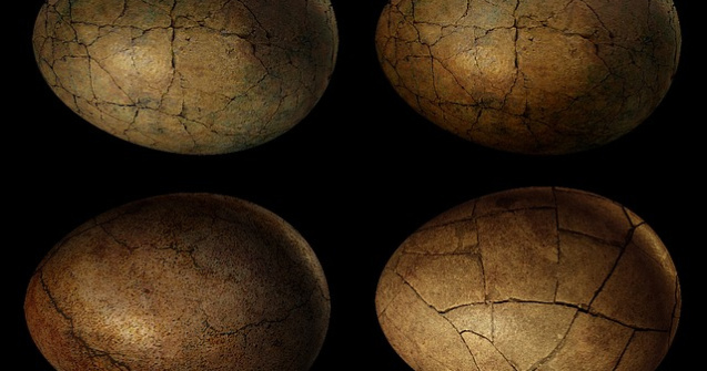 Oua de dinozaur, descoperite in Tara Hategului