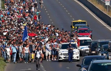 Autoritatile olandeze spera sa deporteze 450 de migranti in Germania