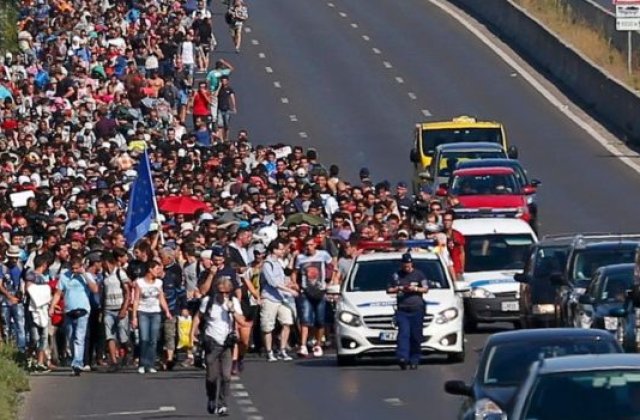 Autoritatile olandeze spera sa deporteze 450 de migranti in Germania