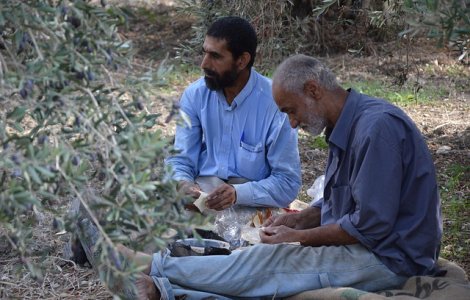 Cum ii primesc romanii din Timis pe migranti