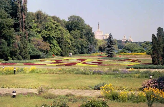 Primaria Capitalei incepe curatenia in parcurile din oras