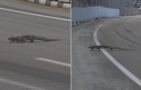 Moment inedit in F1: "E o soparla uriasa pe pista!"