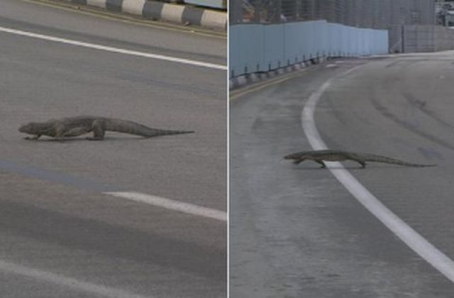 Moment inedit in F1: "E o soparla uriasa pe pista!"