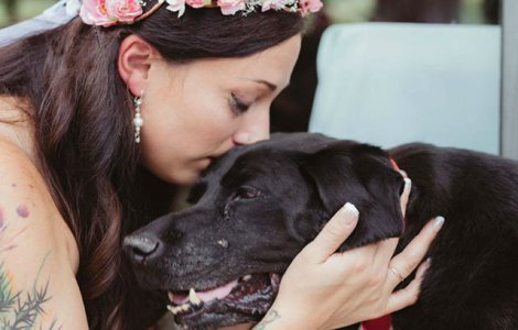 Cainele acesta era pe moarte, dar si-a insotit stapana la altar