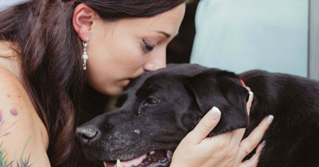  Foto  Cainele acesta era pe moarte, dar si-a insotit stapana la altar cu ultimele puteri