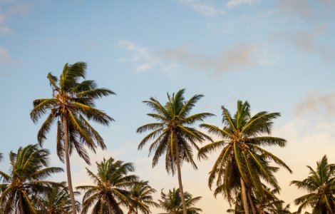  Top  7 locuri insorite pe care sa le vizitezi in aceasta toamna