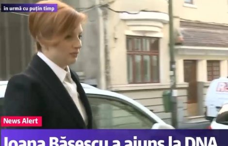 Ioana Basescu si fostul partener, alaturi de Udrea, sub control judiciar