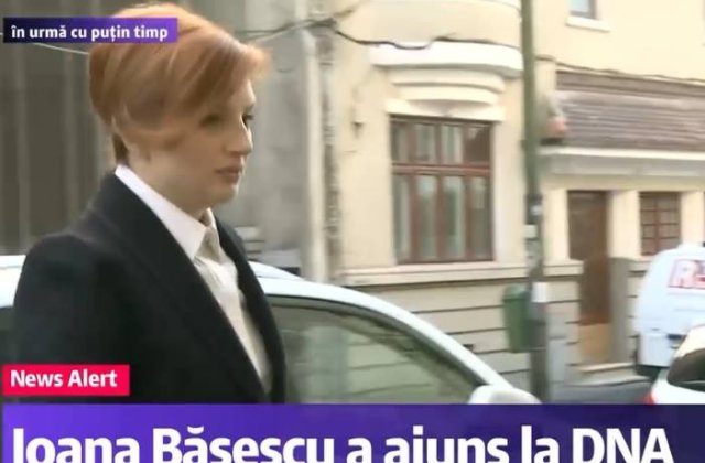 Ioana Basescu si fostul partener, alaturi de Udrea, sub control judiciar