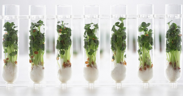  Top  Top 10 alimente ale viitorului