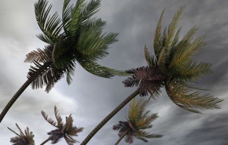  Top  TOP 10 tari predispuse la dezastre naturale