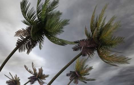  Top  TOP 10 tari predispuse la dezastre naturale