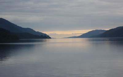 Foto  Cea mai CONVINGATOARE...