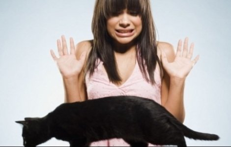  Top  10 superstitii comune explicate