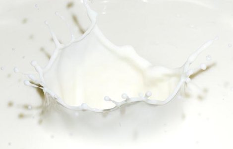 Lapte de magarita la 100 de lei litrul si salata hidroponica ce creste fara pamant, la un targ agricol din Alba Iulia