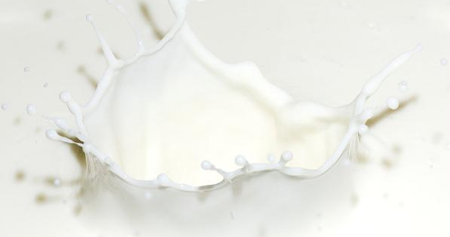 Lapte de magarita la 100 de lei litrul