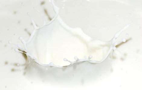 Lapte de magarita la 100 de lei litrul